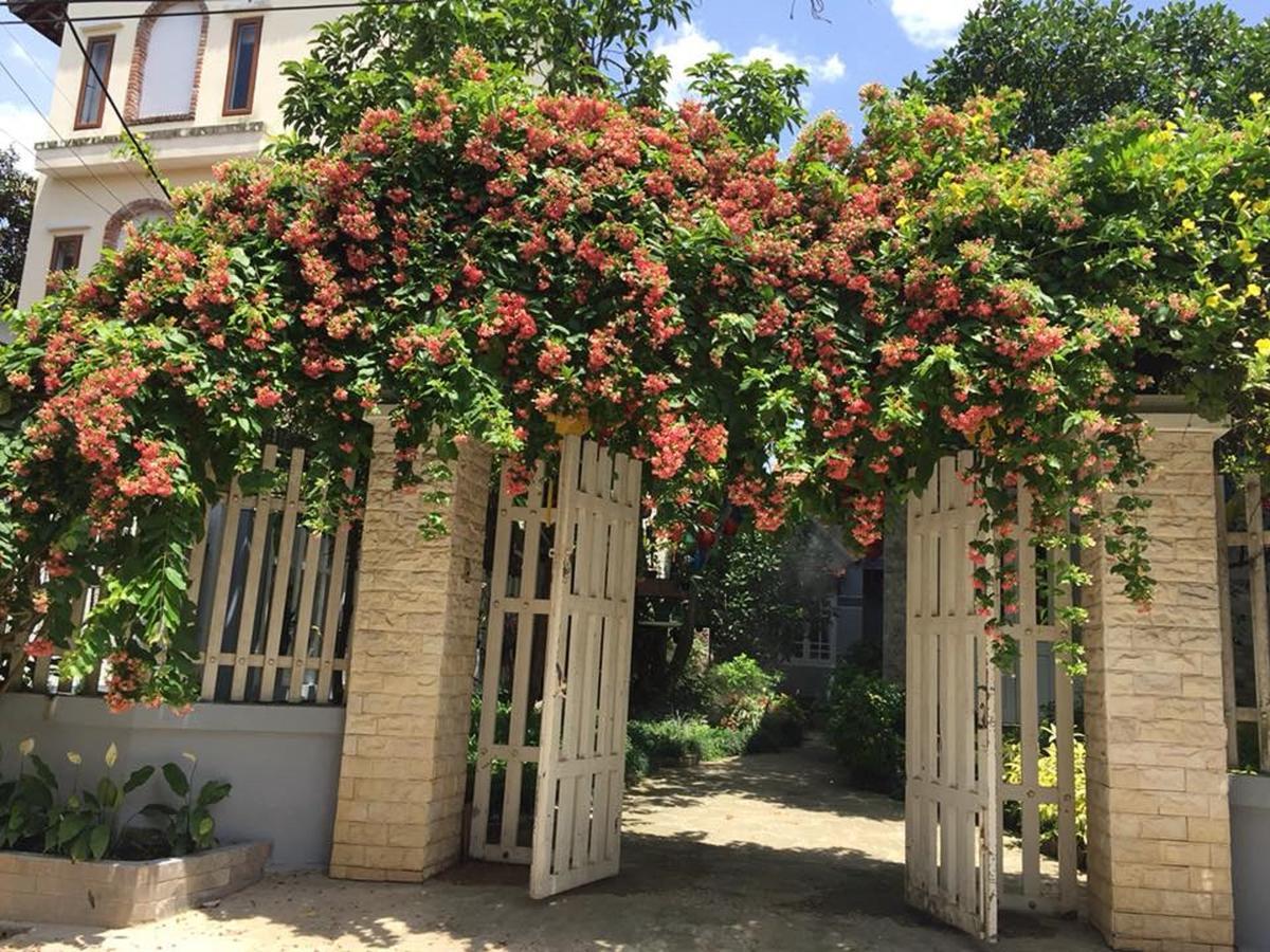 הוי אן Khamy Riverside Villa מראה חיצוני תמונה