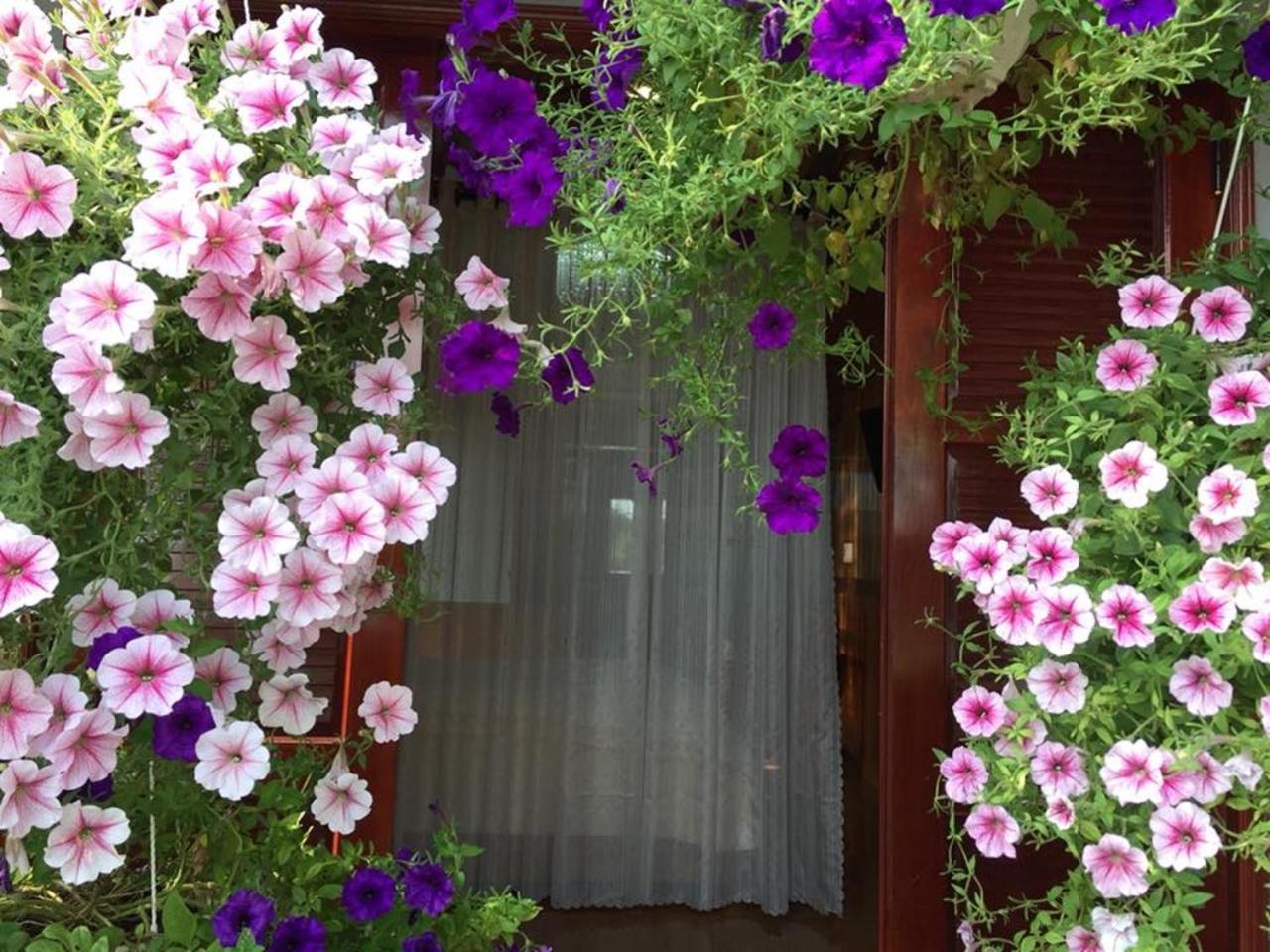 הוי אן Khamy Riverside Villa מראה חיצוני תמונה